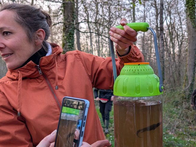 Sortie la Forêt des dragons