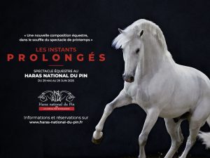 Les Instants Prolongés HNDP tourinsoft