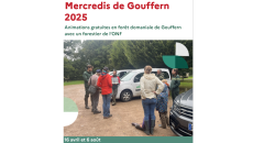 Mercredis de gouffern
