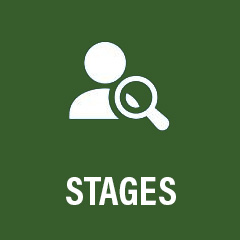 Stages