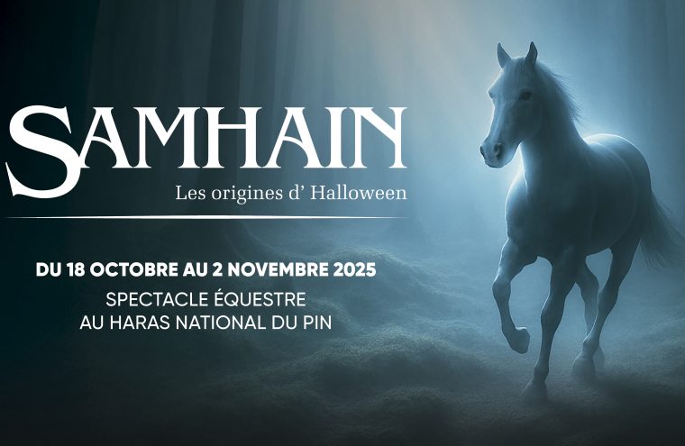 251001-Maquette-siteweb-1140x560px