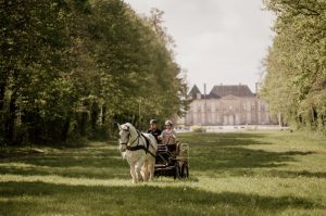 105_2025-06-04-11-33-13-6197