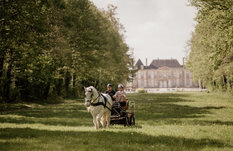 105_2025-06-04-11-33-13-6197