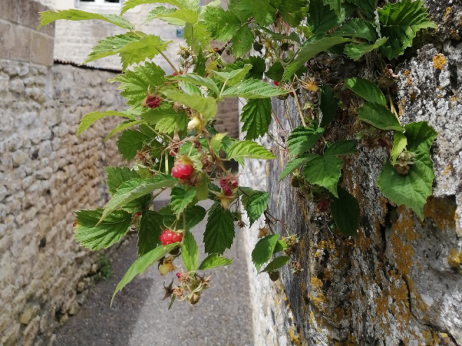 Entre eaux et terre à Ecouché