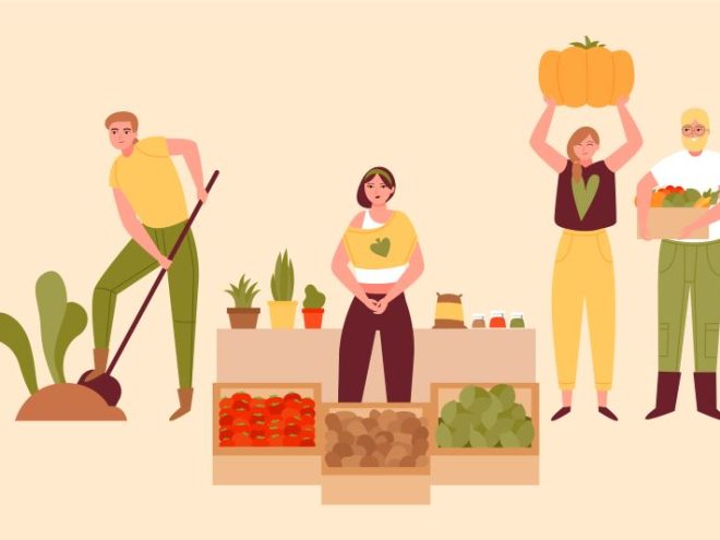 Marché bio à Argentan