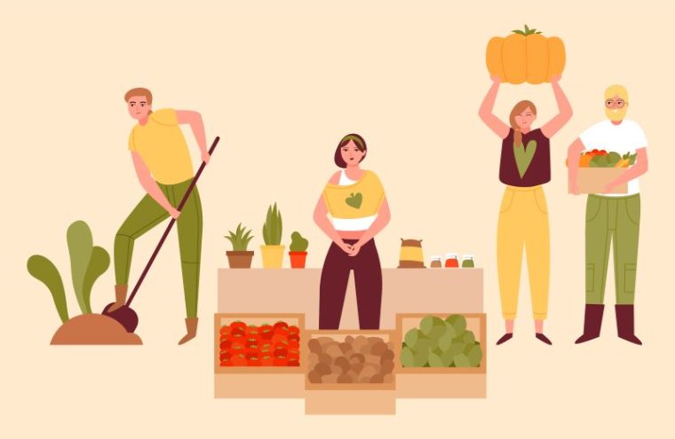 Marché bio à Argentan