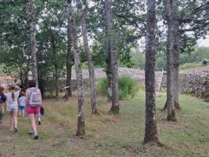 Visite guidée Camp celtique 800x600