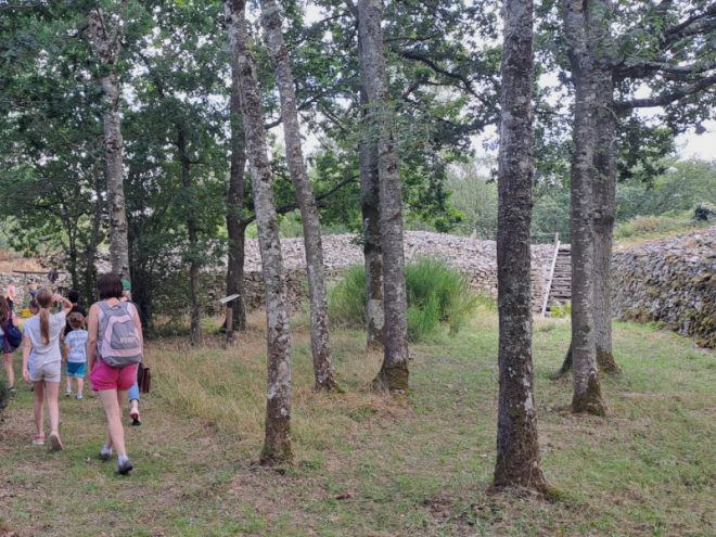Visite guidée Camp celtique 800x600