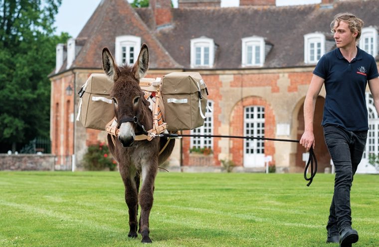 unknown_64c268baa57cd