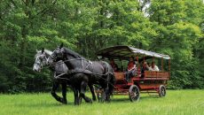 PROMENADE-ATTELAGE-2023