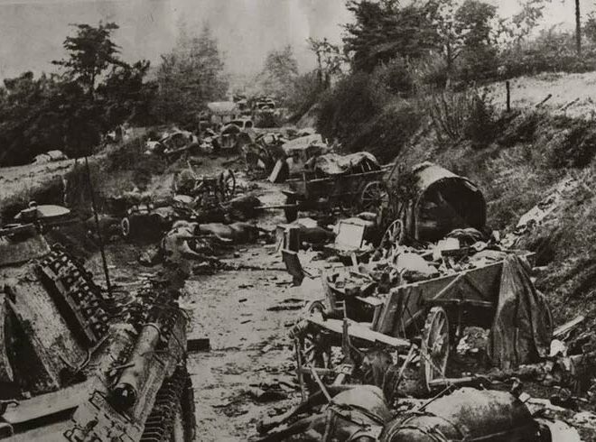 Visite guidée - La Poche de Falaise-Chambois