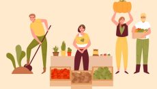 Marché bio à Argentan