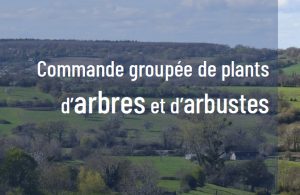 Commande groupée d'arbres et arbustes