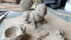 Formes animales
