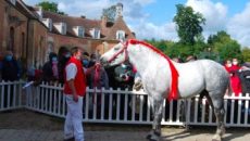 visuel-percheron-siteweb_66f40f7b2c4fa
